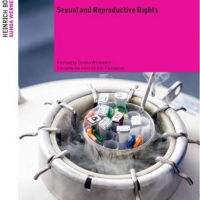 Сексуальні і репродуктивні права. Короткий огляд